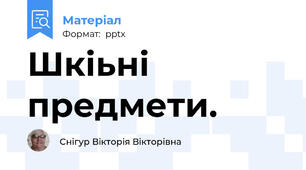 Шкіьні предмети.