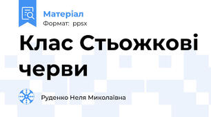 Клас Стьожкові черви