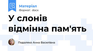 У слонів відмінна пам'ять