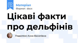 Цікаві факти про дельфінів