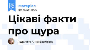 Цікаві факти про щура
