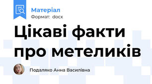 Цікаві факти про метеликів