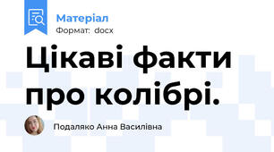 Цікаві факти про колібрі.