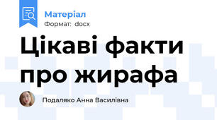 Цікаві факти про жирафа