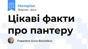 Цікаві факти про пантеру