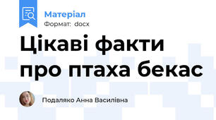 Цікаві факти про птаха бекас