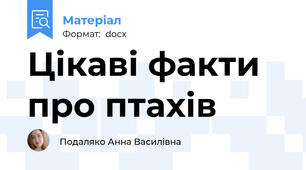 Цікаві факти про птахів