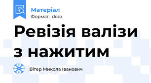 Ревізія валізи з нажитим