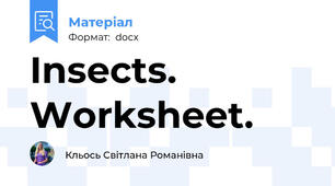 Insects. Worksheet.