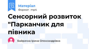Сенсорний розвиток "Парканчик для півника