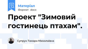 Проект "Зимовий гостинець птахам".