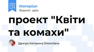 проект "Квіти та комахи"