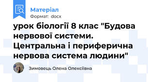 урок біології 8 клас "Будова нервової системи. Центральна і периферична нервова система людини"