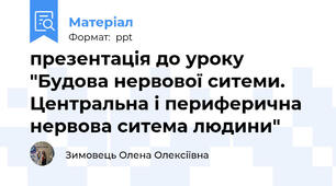презентація до уроку "Будова нервової ситеми. Центральна і периферична нервова ситема людини"