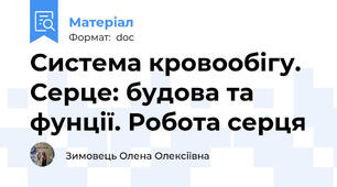 Система кровообігу. Серце: будова та фунції. Робота серця