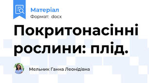 Покритонасінні рослини: плід.