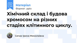 Хімічний склад і будова хромосом на різних стадіях клітинного циклу.