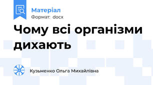 Чому всі організми дихають