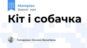 Кіт і собачка