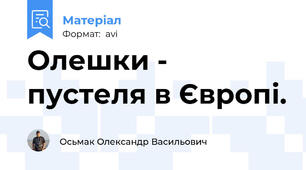 Олешки - пустеля в Європі.