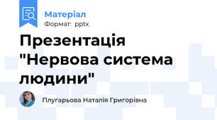 Презентація "Нервова система людини"