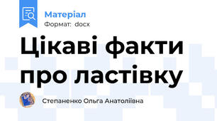 Цікаві факти про ластівку