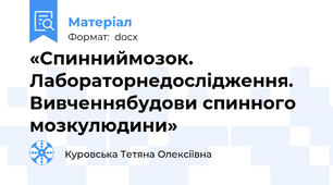 «Спинниймозок. Лабораторнедослідження. Вивченнябудови спинного мозкулюдини»