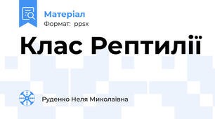 Клас Рептилії