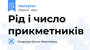 Рід і число прикметників