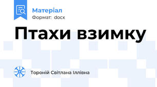 Птахи взимку