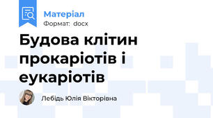 Будова клітин прокаріотів і еукаріотів