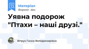 Уявна подорож "Птахи – наші друзі."