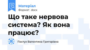 Що таке нервова система? Як вона працює?