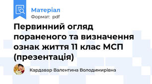 Первинний огляд пораненого та визначення ознак життя 11 клас МСП (презентація)