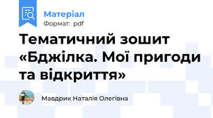 Тематичний зошит «Бджілка. Мої пригоди та відкриття»