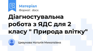 Діагностувальна робота з ЯДС для 2 класу " Природа влітку"