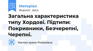 Загальна характеристика типу Хордові. Підтипи: Покривники, Безчерепні, Черепні.