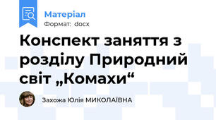 Конспект заняття з розділу Природний світ „Комахи“