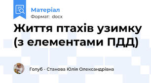 Життя птахів узимку (з елементами ПДД)