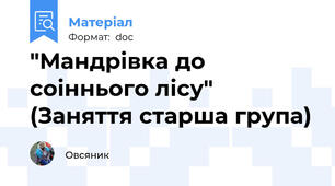 "Мандрівка до соіннього лісу" (Заняття старша група)