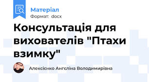 Консультація для вихователів "Птахи взимку"