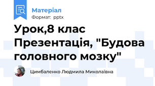 Урок,8 клас Презентація, "Будова головного мозку"