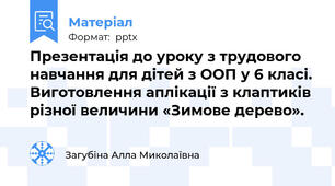 Презентація до уроку з трудового навчання для дітей з ООП у 6 класі. Виготовлення аплікації з клаптиків різної величини «Зимове дерево».