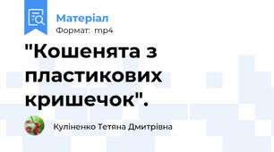 "Кошенята з пластикових кришечок".
