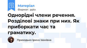 Однорідні члени речення. Розділові знаки при них. Як приборкати час та граматику.