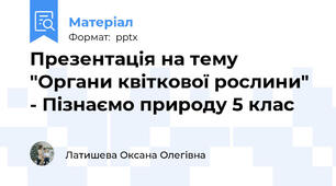 Презентація на тему "Органи квіткової рослини" - Пізнаємо природу 5 клас