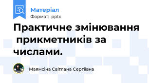 Практичне змінювання  прикметників за числами.