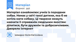 Матеріал ознайомлює учнів із породами собак. Немає у світі такої дитини, яка б не хотіла мати собаку. Ці тварини можуть навчити її справжнім людським якостям: ділитися, бути дружнім та доброзичливим. Джерело інтернет