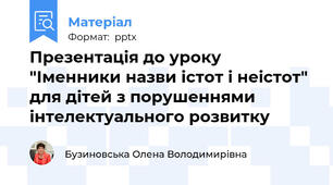 Презентація до уроку "Іменники назви істот і неістот" для дітей з порушеннями інтелектуального розвитку