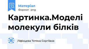 Картинка.Моделі молекули білків